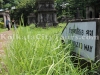 inside-cemetery-kolkata