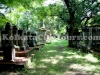 park_street_cemetery