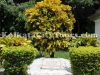 vivian-derozio-grave