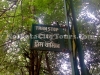 Tram Stop Board